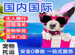 沙堤机场空运国际宠物托运 【国